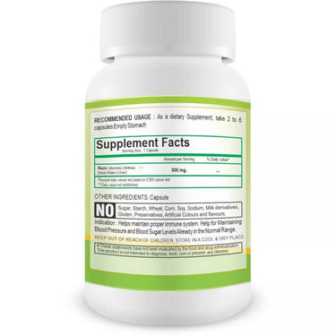 https://cdn.shopify.com/s/files/1/1857/6931/products/VZrs4lZEe1.jpg?v=1696080383